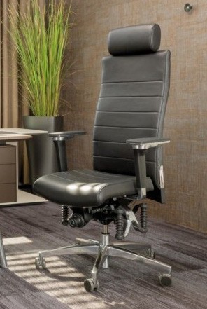 Haider Bioswing 670iQ Executive Leather Chair